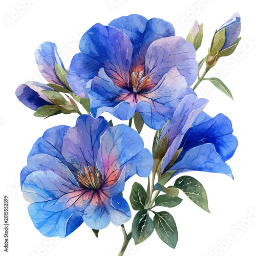 Foto Garden Pea Flower, illustration watercolor with playful splashes and delicate line details, isolated on a white background