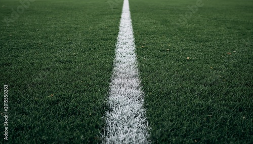 Linha branca em campo de futebol gramado, foco na grama e na marcação