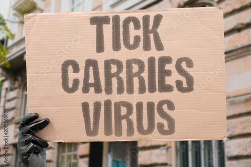 Foto "Tick Carries Virus" Ticks transmit multiple distinct viral and bacterial diseases beyond Lyme