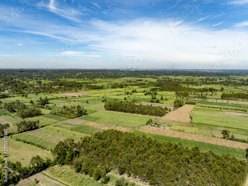 Aerial view of lush agricultural fields and dense green woodlots under a bright blue sky with wispy clouds Webuye, Bungoma County, Kenya.