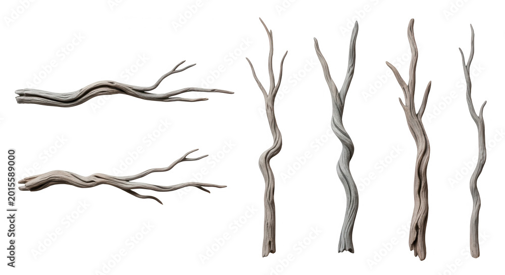Fototapeta premium close-up of driftwood arranged on a white background natural decor and design concepts
