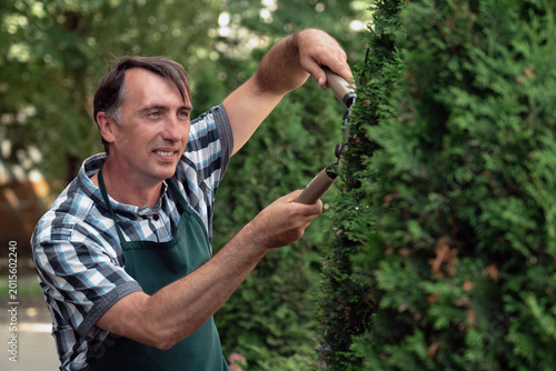 Bild auf Leinwand Man with garden shears cutting bushes and trees in the garden