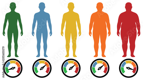 Tableau sur toile Human body mass index bmi scale infographics with colored silhouettes