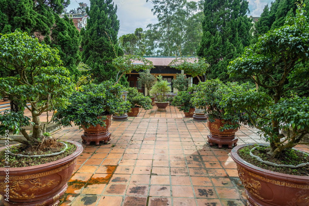 Fototapeta premium A tranquil courtyard garden with meticulously pruned bonsai trees and ornate pots, Linh Son Pagoda in Da Lat, Vietnam. The tiled pathway reflects the overcast sky, creating a serene atmosphere.