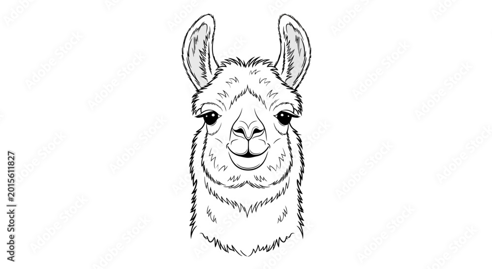 Naklejka premium Hand-drawn llama portrait, sketch style, isolated on white background