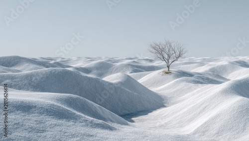 Bare tree on snow-covered dunes.  Pale, icy landscape