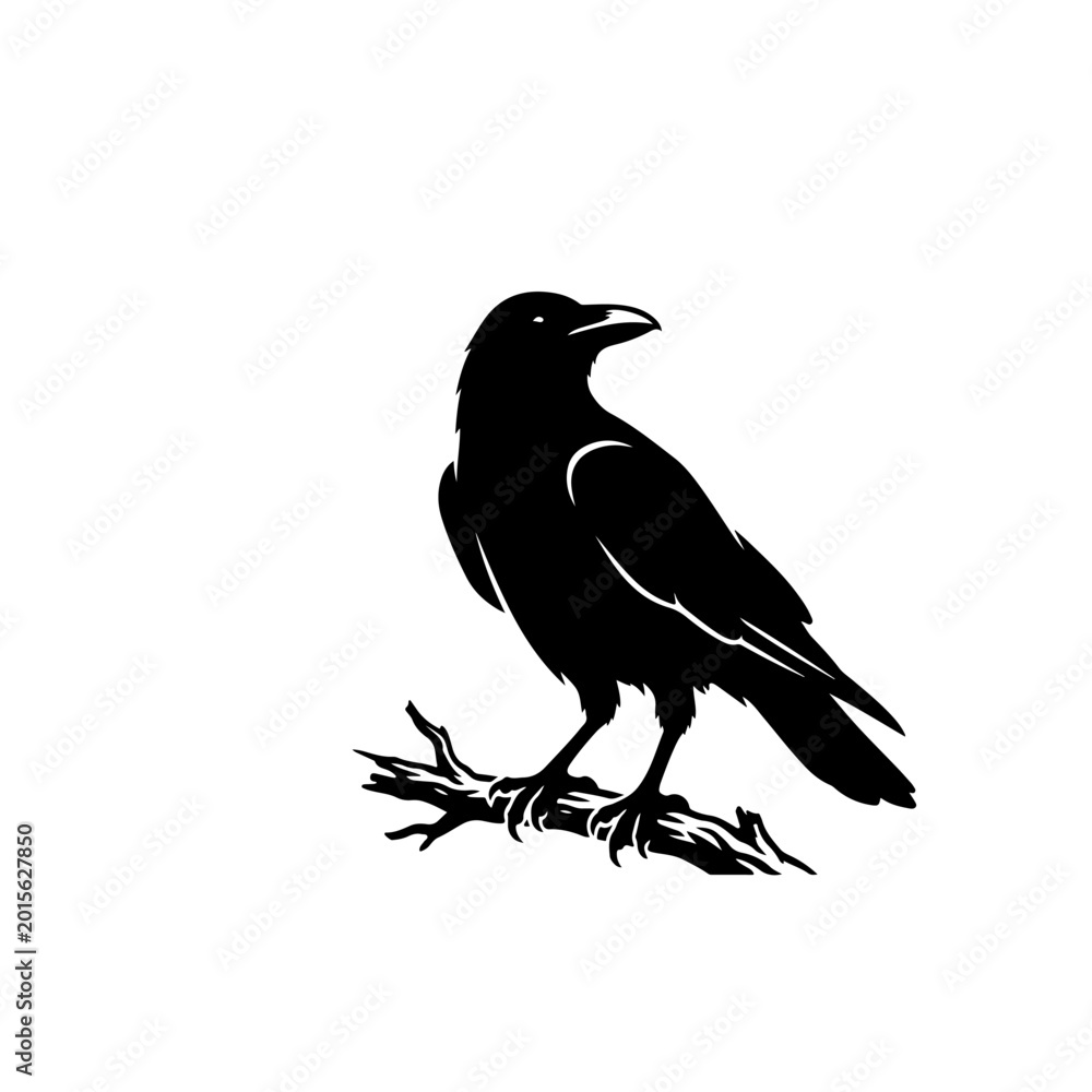 Fototapeta premium Elegant minimalist black raven silhouette perched on a bare branch, a striking vector graphic illustration perfect for mysterious design projects