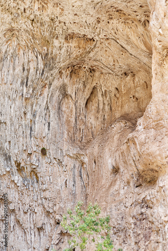 Schilderij op canvas Detailed travertine rock formations on the underside of the Tonto Natural Bridge
