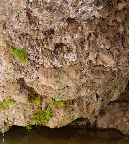 Photography Detailed travertine rock formations on the underside of the Tonto Natural Bridge