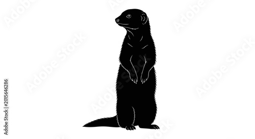 Quadro em tela Black silhouette of a standing meerkat.