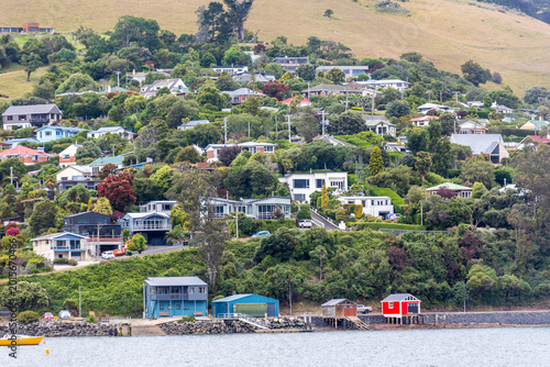 Cuadro en lienzo MacAndrew Bay, Dunedin, New Zealand