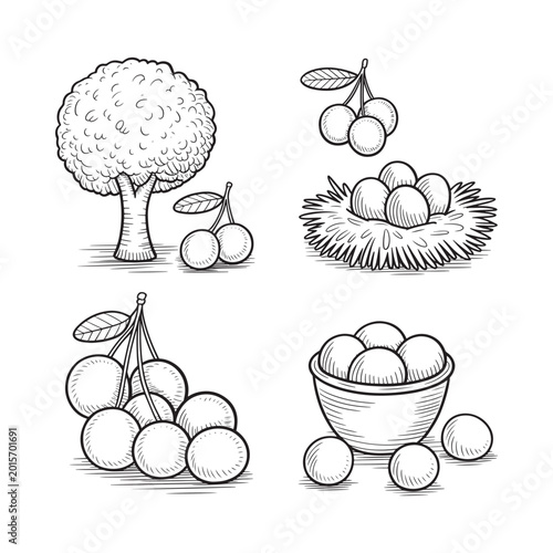 Cherry illustration set with tree nest and fruit in sketch style