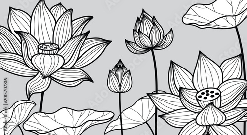 Lotus Flower and Leaf Line Art Illustration Set	