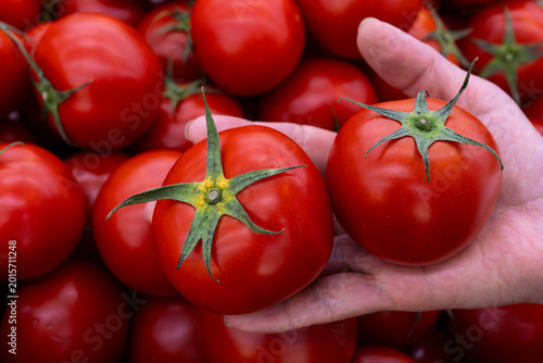 Fotografie Person Showcasing Ripe Organic Tomatoes at Farmers Market