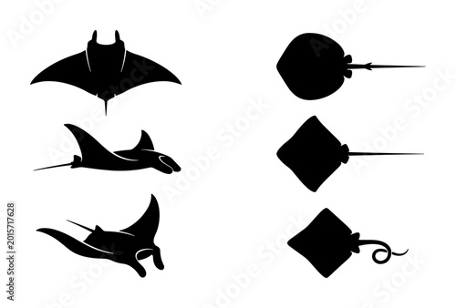 Manta Ray and Stingray Silhouettes, Marine Life Vector Icons, Ocean Wildlife Graphics, Aquatic Animal Illustrations