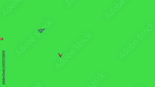  Realistic Butterflies Animated Green Screen Video.