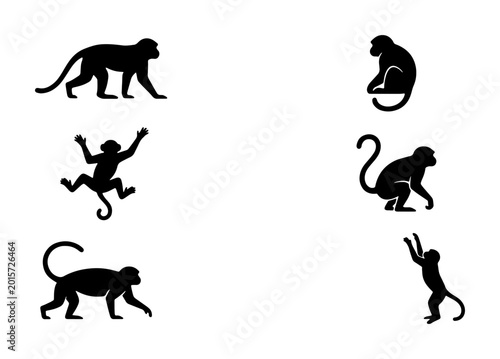 Photography Monkey Silhouettes Collection, Primate Poses Vector Icons, Jungle Animal Graphic