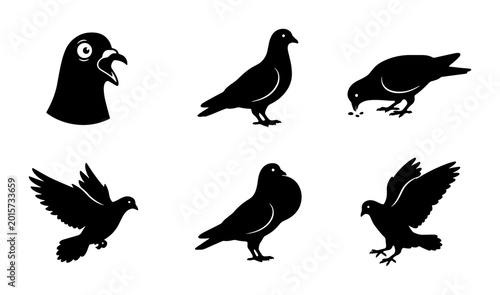 Quadro em tela Pigeon Vector Icons Set, Silhouette Bird Graphics, Urban Wildlife Illustrations,