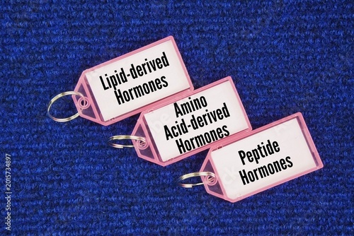 Obraz na płótnie Hormones are generally classified into three types based on their structure are Lipid-derived Hormones, Amino Acid-derived Hormones, Peptide Hormones