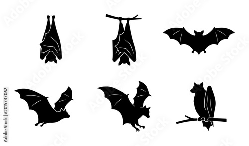 Photos Bat Silhouettes Collection, Nocturnal Flying Mammals, Halloween Icons, Vector Gr