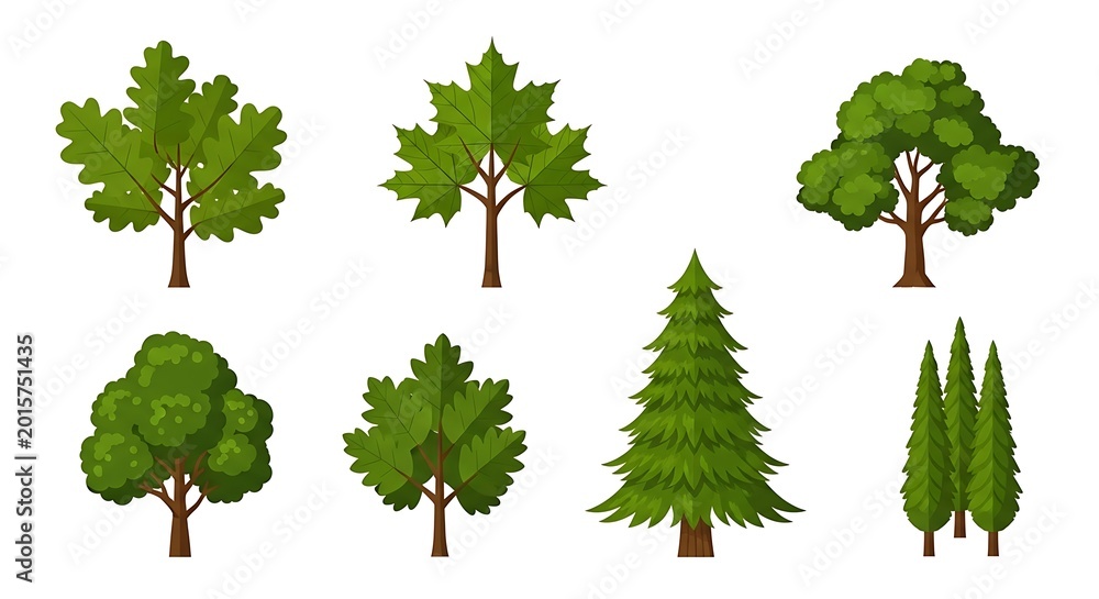 Fototapeta premium Collection of green tree illustrations.