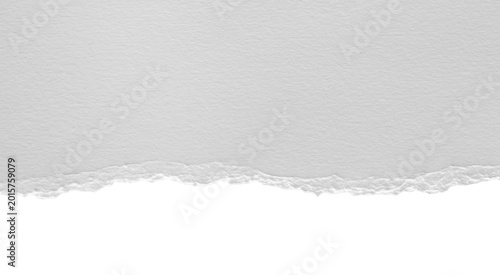 Fotografie torn blank pages with uneven texture edges