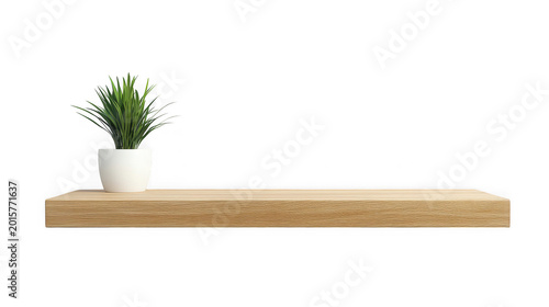 Wooden shelf with potted plant on white background