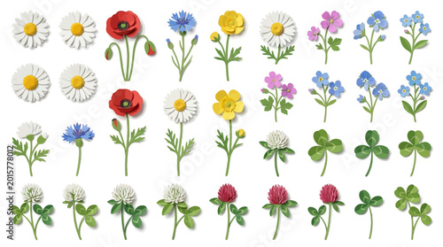 Photos Colorful illustration of various flowers and clover on white background