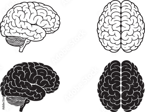 Konstfotografi Human brain illustration showing lateral and medial views