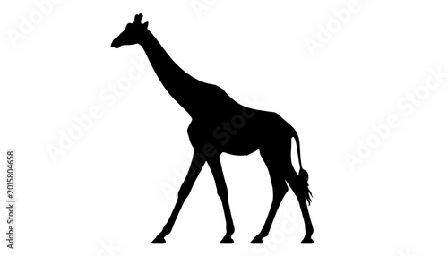 A simple, stark silhouette of a tall, long-necked African mammal walking. The animal has a slender build