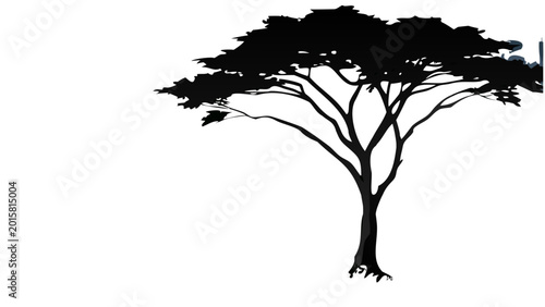 Canvas Print Silhouette of bare tree with sprawling branches against plain background