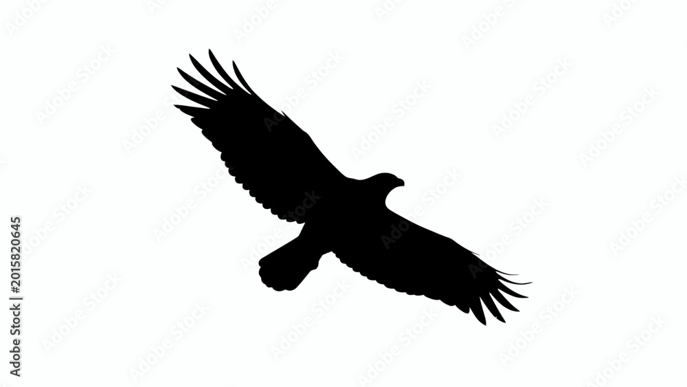 Obraz premium Black eagle silhouette, flying bird icon, wildlife symbol, graphic design element isolated on White Background EPS