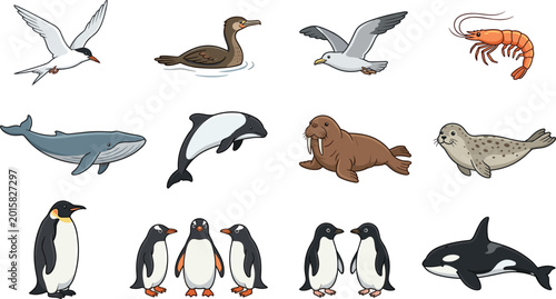 Antarctic and Arctic Marine Wildlife Vector Set Featuring Penguins, Whale, Orca, Seal, Walrus, and Sea Birds for Children Educational Books and Polar Nature Themed Graphic Designs