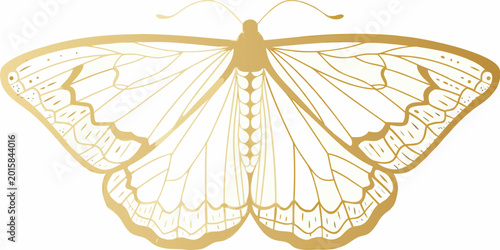 Foto Golden butterfly silhouette on a white background