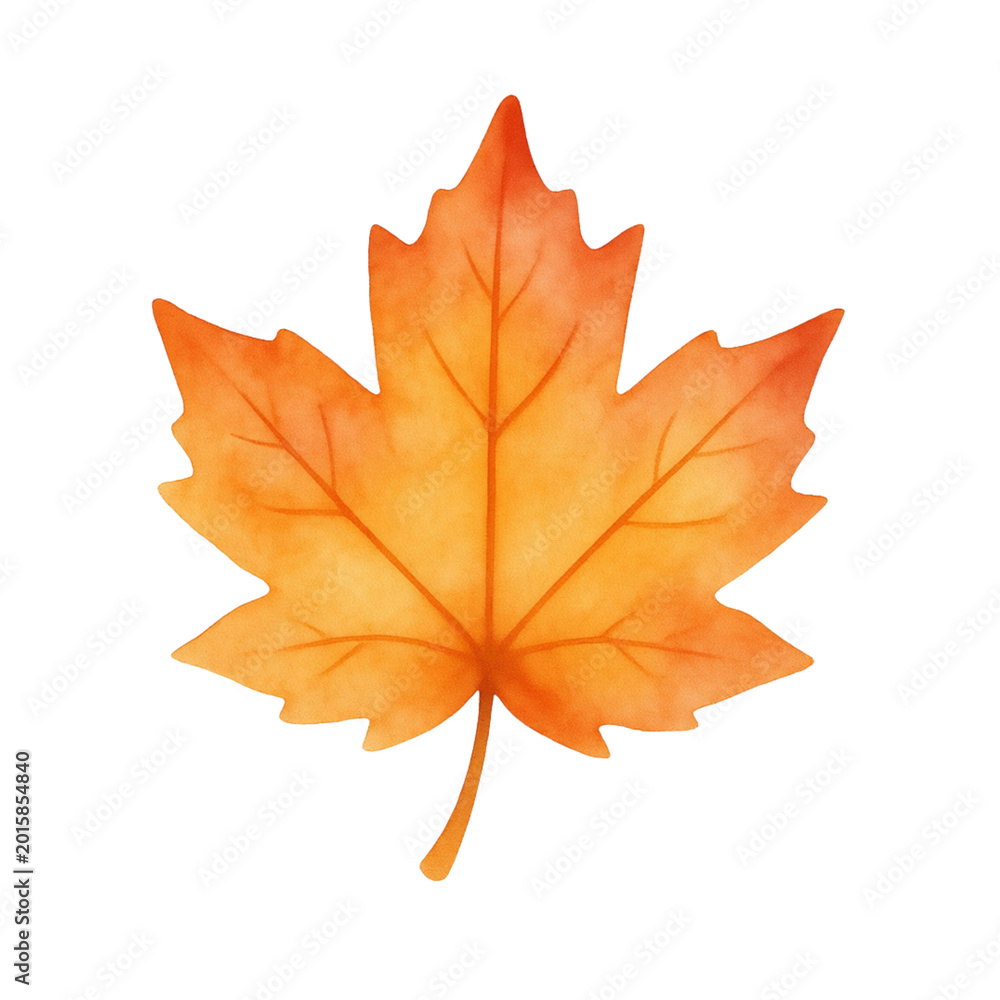 Fototapeta premium watercolor illustration of maple leaf