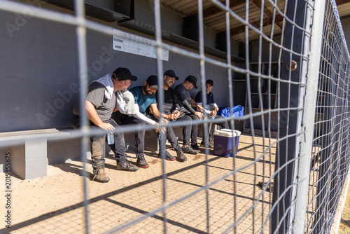 Foto Male teammates sitting and talking on concrete bench behind chain-link fence in