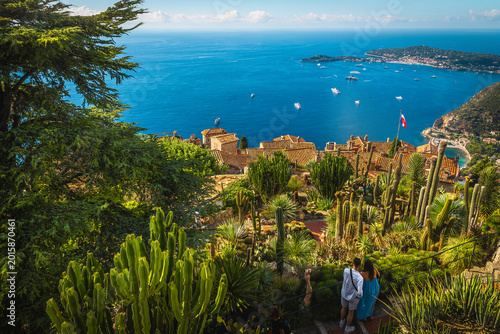 View with various tropical plants from the botanical garden, Eze