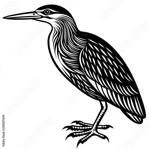 A sleek black and white vector illustration of a heron bird standing on one leg with detailed feather patterns