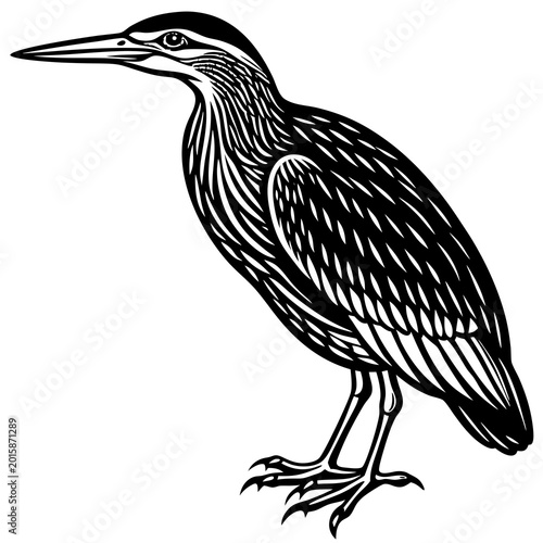 A sleek black and white vector illustration of a heron bird standing on one leg with detailed feather patterns