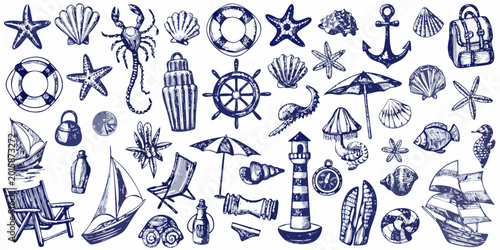 Nautical illustrations collection with seashells starfish and seaside elements