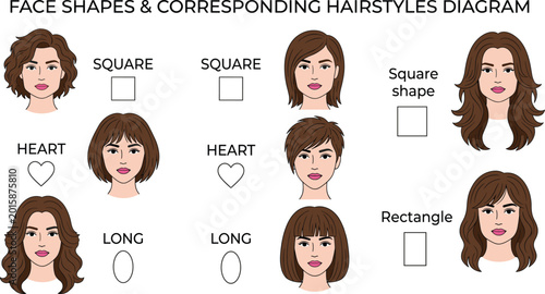 Photos Face shapes and corresponding hairstyles vector diagram featuring square, heart,