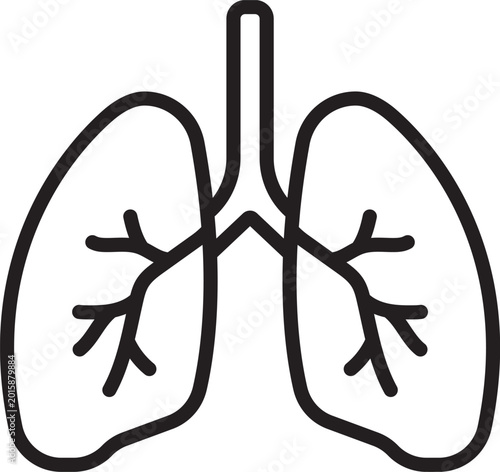 Photos Lungs icon in linear style.