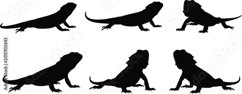 Slika na platnu Bearded Dragon vector set
