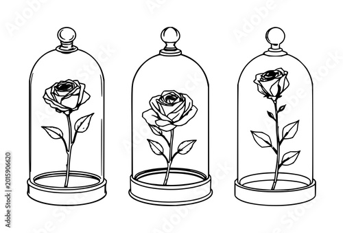 Glass cloche set with black line art on white background featuring glass cloche, dried rose, minimalist style with line art and white background