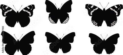 Photos Red Admiral Butterfly vector set