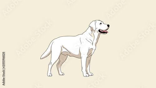 Side profile of a loyal white labrador retriever dog standing alert against a soft cream background in a clean vector illustration.