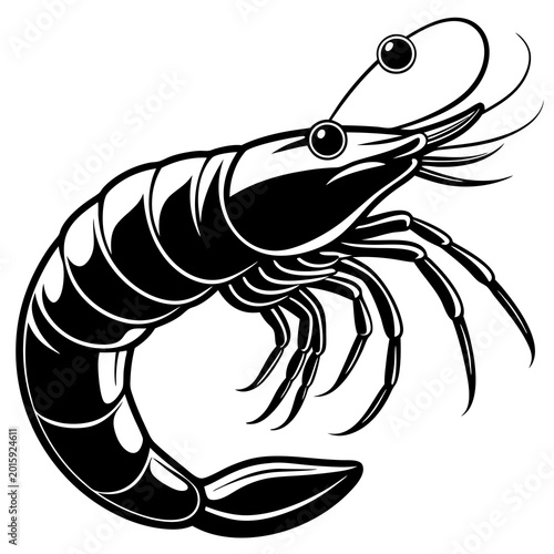 A sleek black and white vector illustration of a shrimp featuring detailed line art and a transparent background for versatile graphic design use
