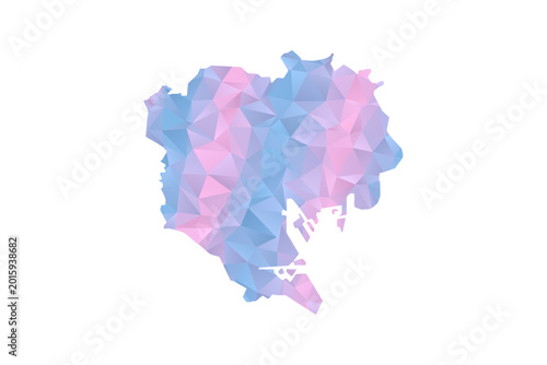 Photos Tokyo Map - Polygon Style Vector Illustration in Pastel Blue and Pink Gradient, Low Poly Geometric Design, Isolated on White Background for Infographics and Education