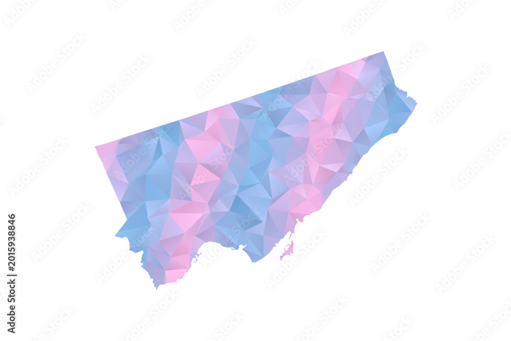 Fototapeta premium Toronto Map - Polygon Style Vector Illustration in Pastel Blue and Pink Gradient, Low Poly Geometric Design, Isolated on White Background for Infographics and Education.