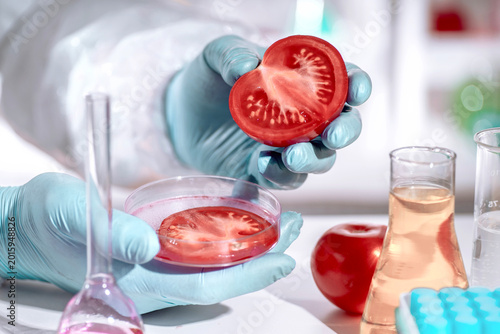 Fotografie Gloved hands hold a fresh halved tomato in a food laboratory; blurred background, glassware and tubes for quality control, nutrient profiling, and safety testing